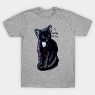 One Cat Shy Of Crazy T-Shirt